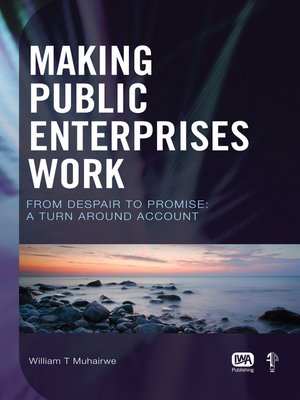 cover image of Making Public Enterprises Work